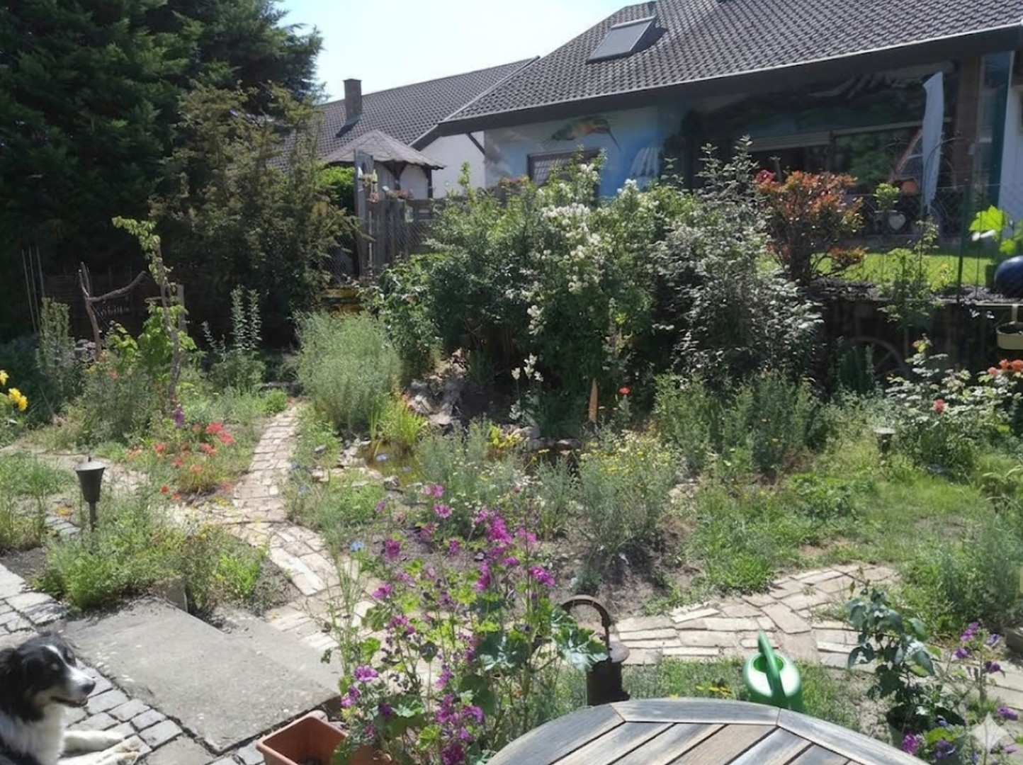 Garten mit Teich