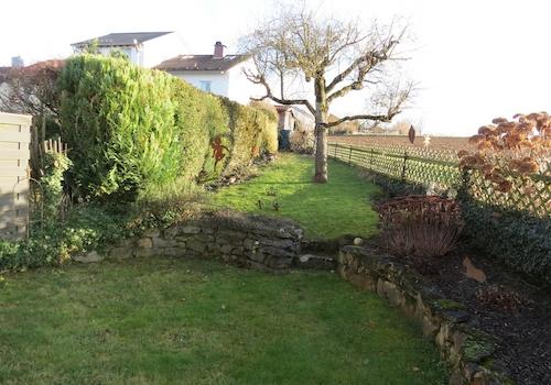 Blick in den Garten