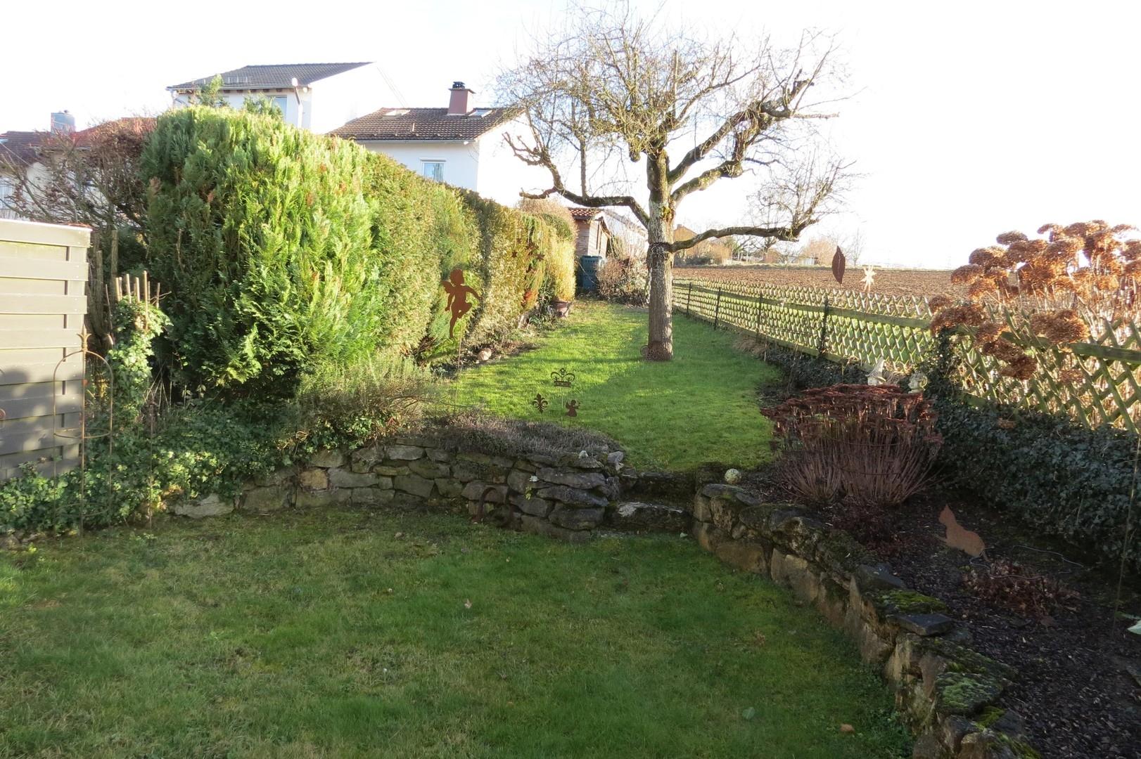 Blick in den Garten
