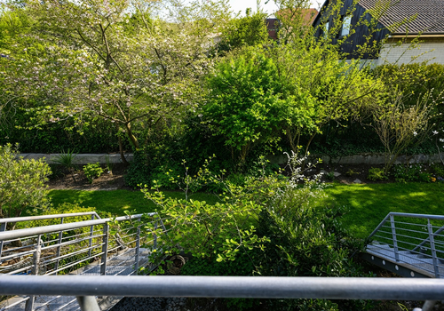 Blick in den Garten