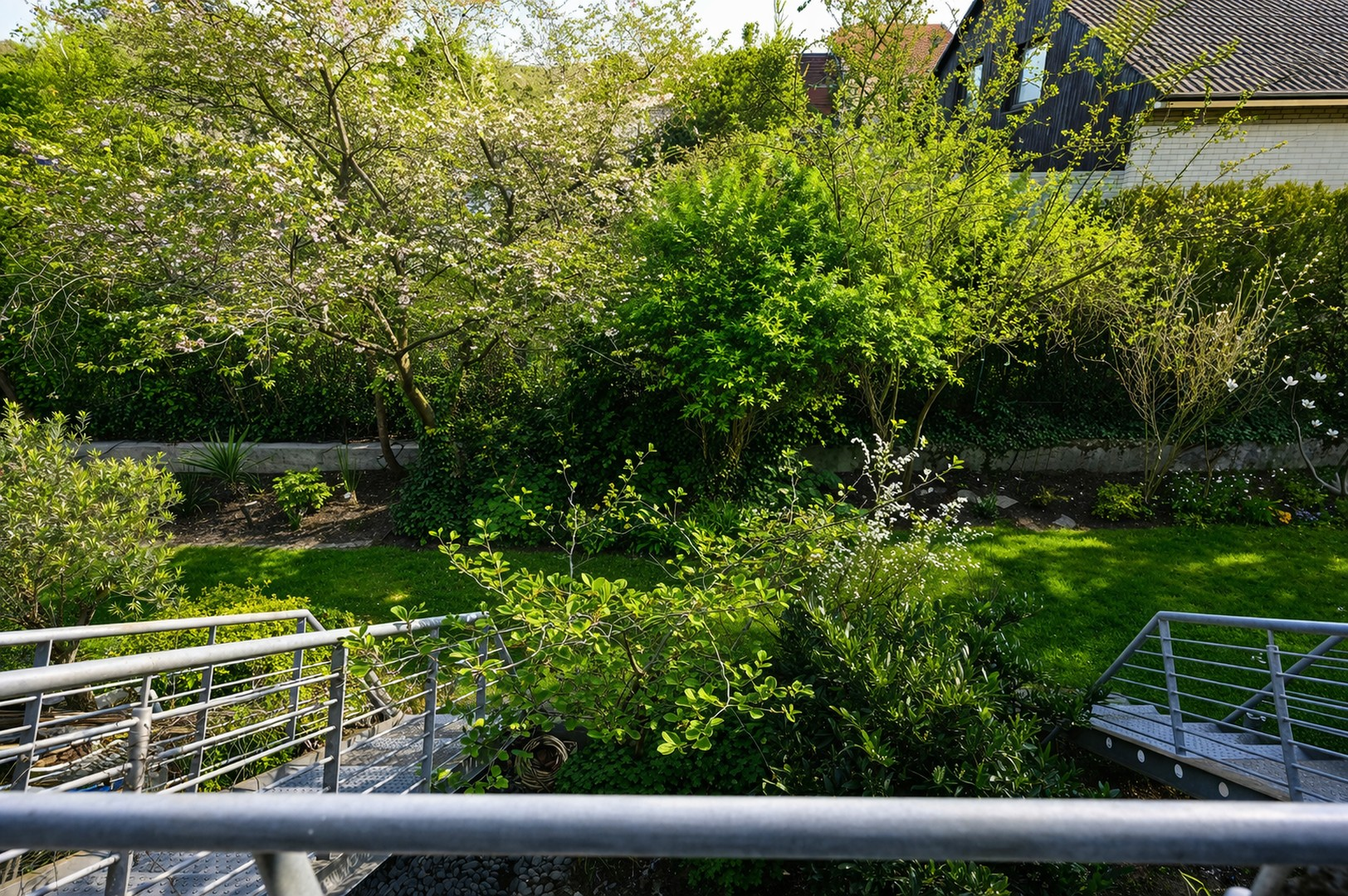 Blick in den Garten