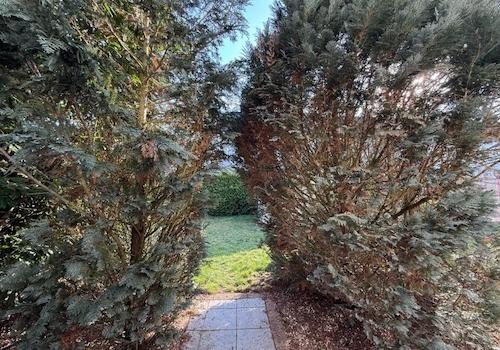 Terrasse 1