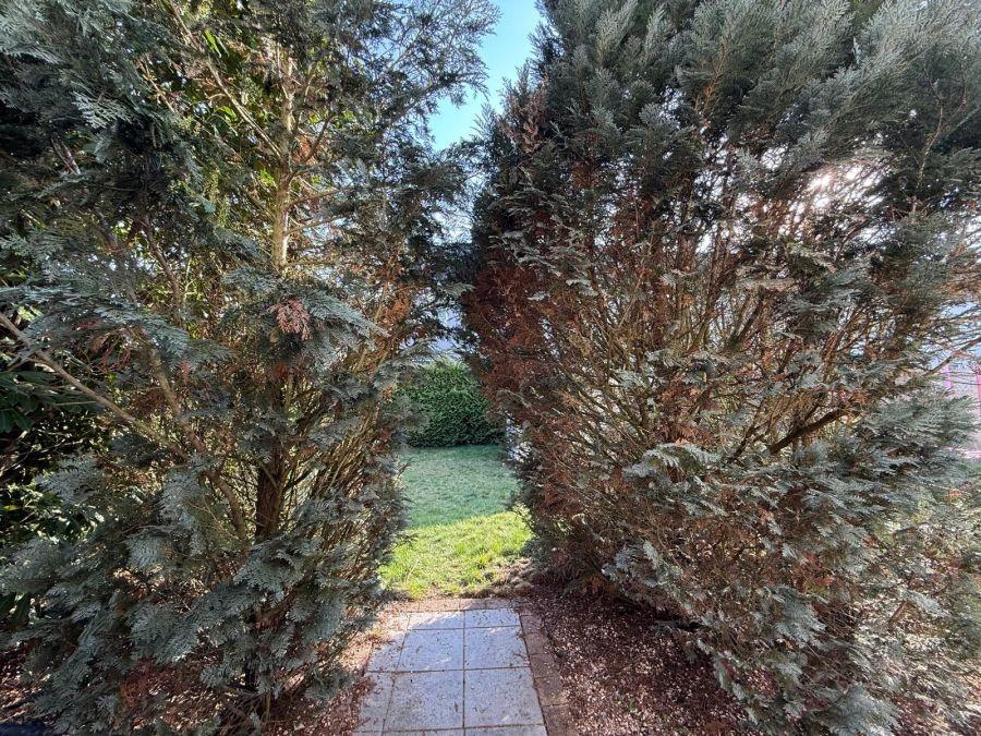 Terrasse 1