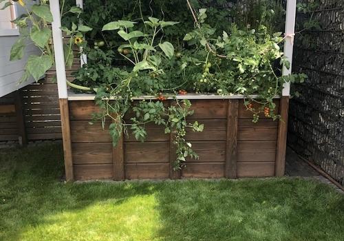 Hochbeet im Garten