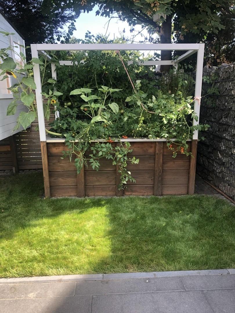 Hochbeet im Garten