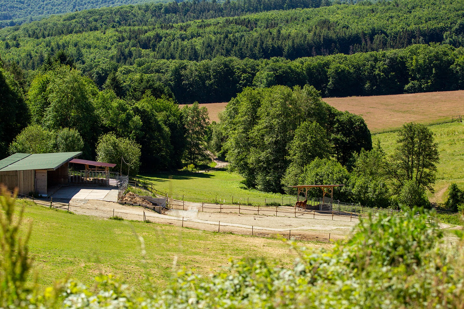 Blick auf die Weiden