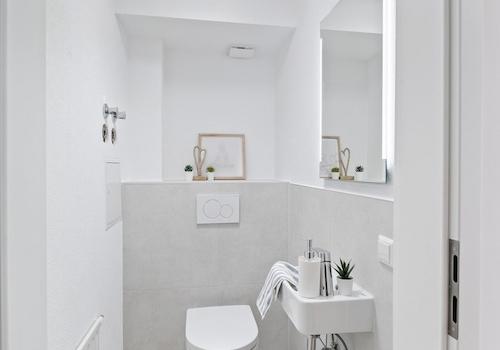 ***TOILETTE***