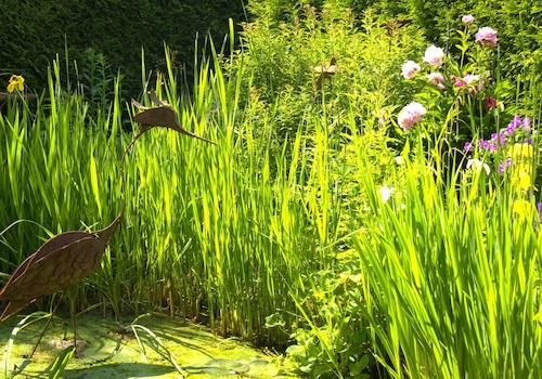 Gartenteich