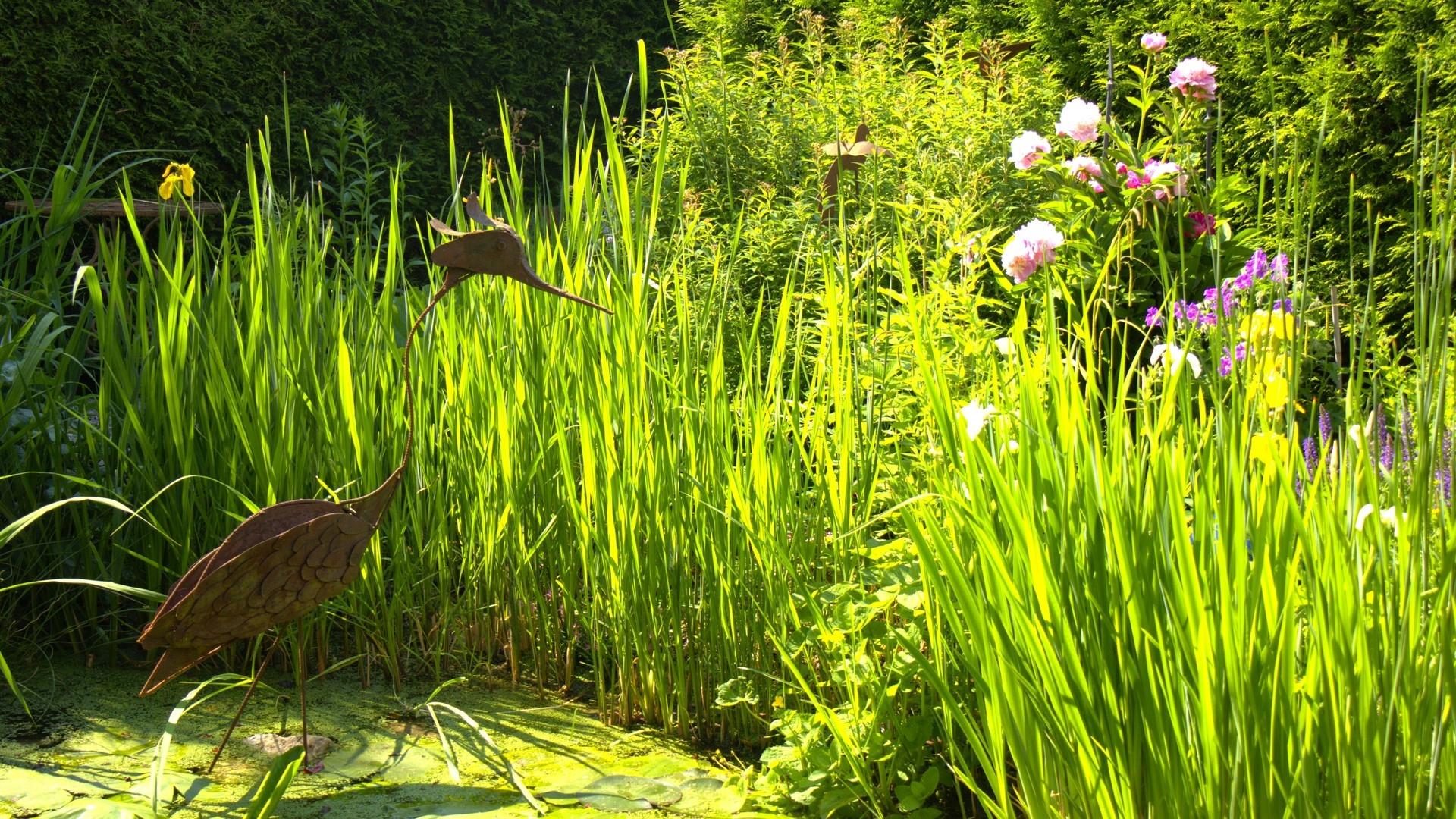 Gartenteich