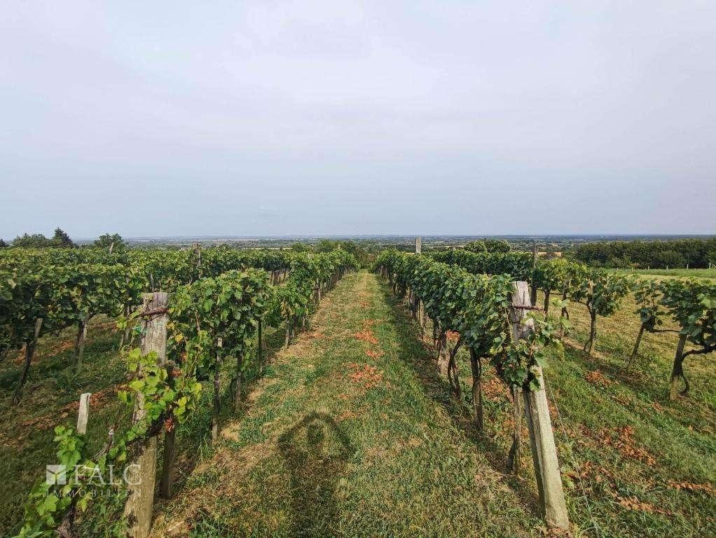 Weinberg