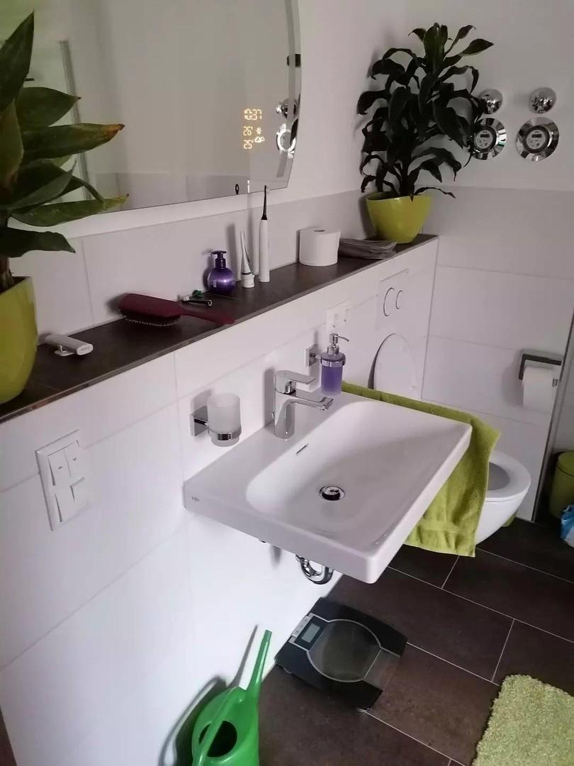 Waschbecken/WC im Hauptbad