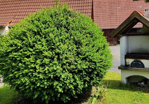 Gartenidylle
