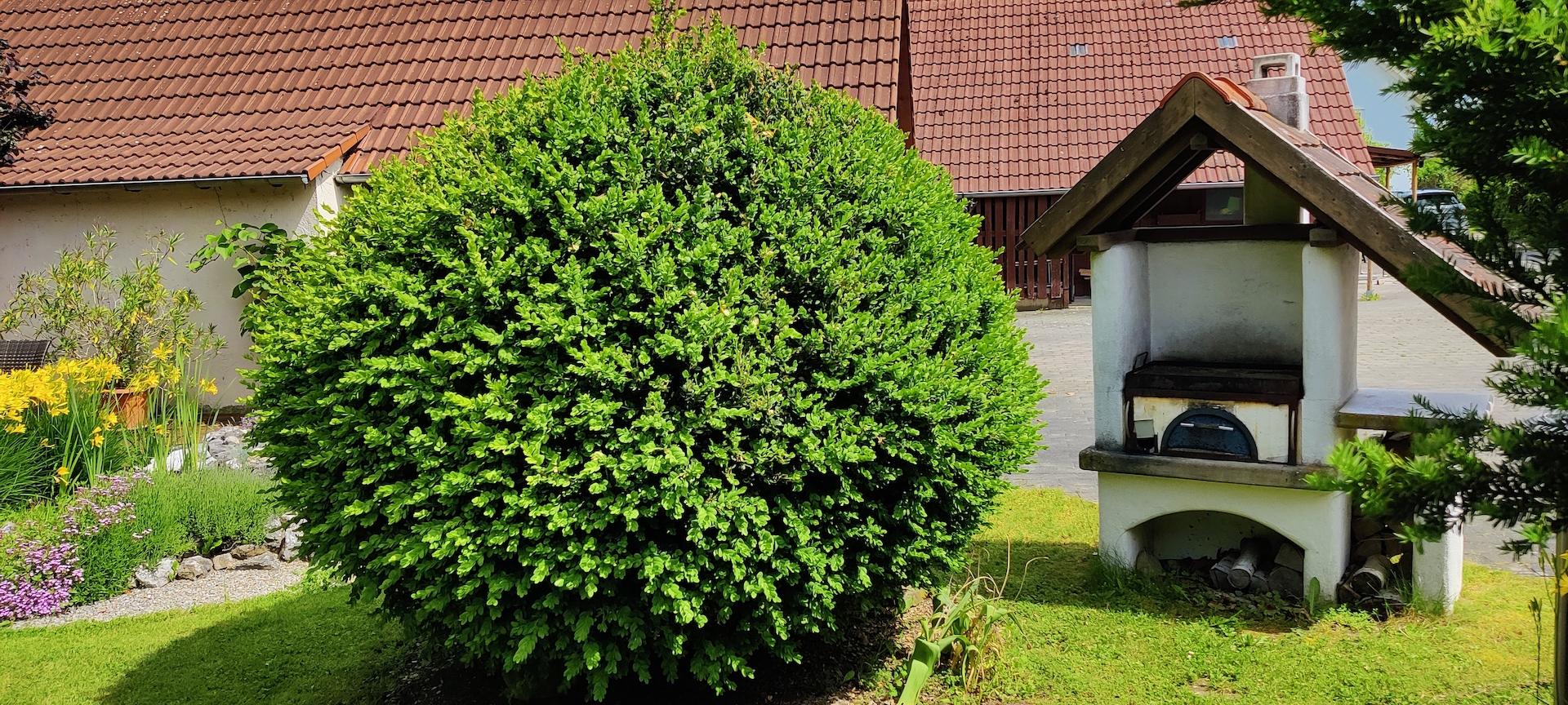 Gartenidylle