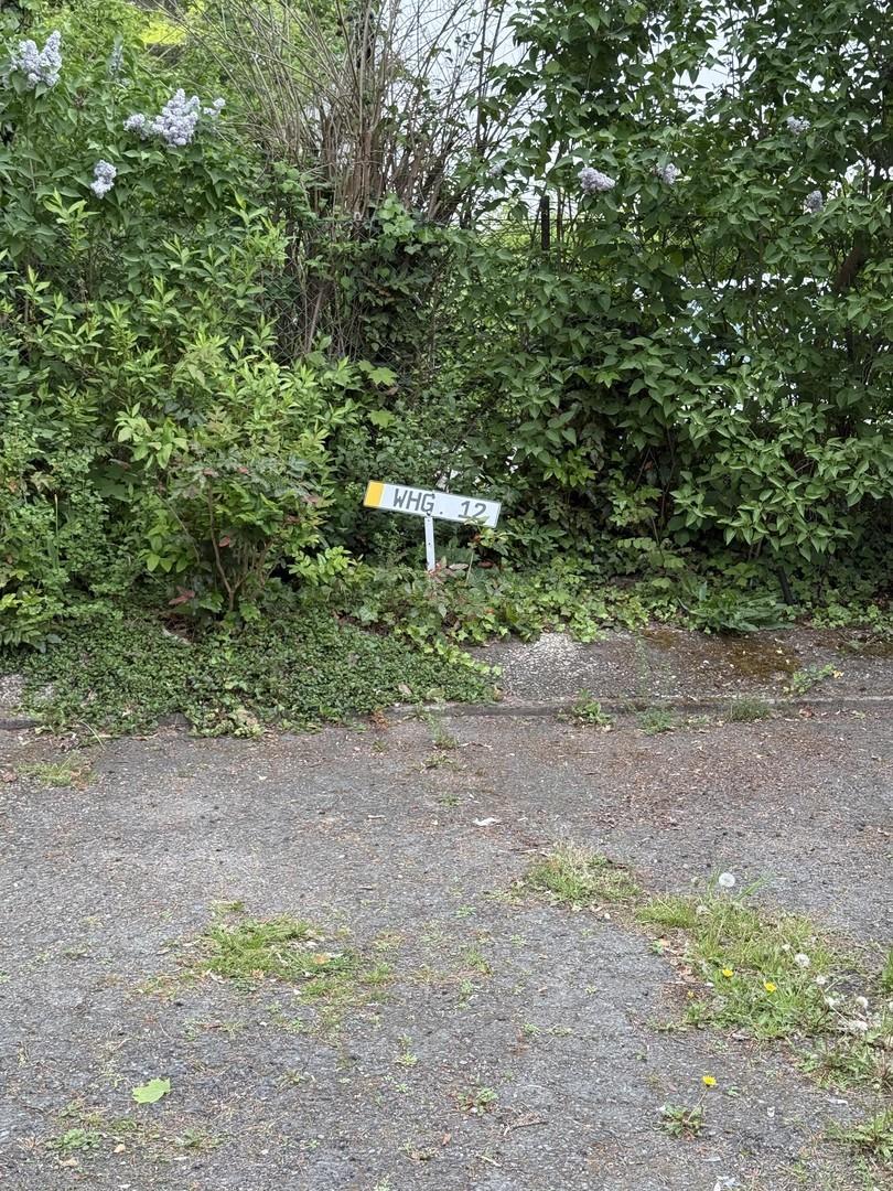 Stellplatz