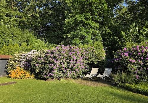 Ruheterrasse Rhododendren