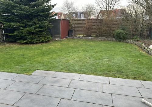 Blick in den Garten 