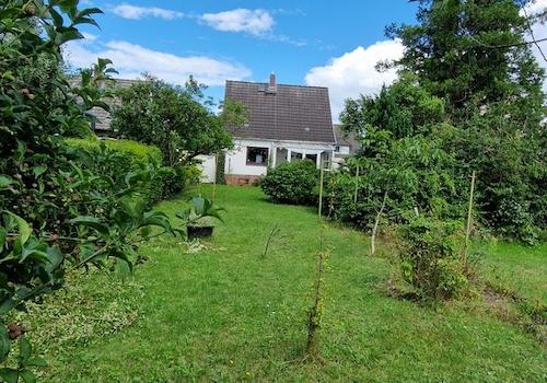 Garten Blickrichtung zum Baukö