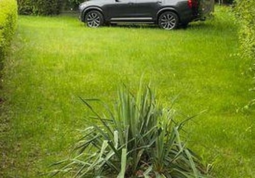 Parkplatz / Spielwiese