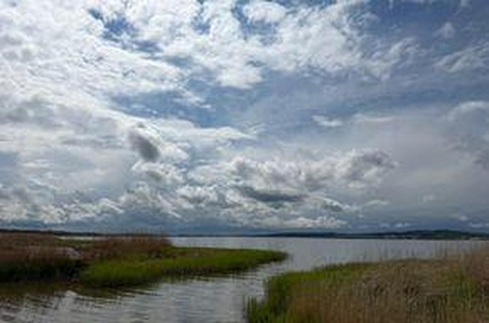 See