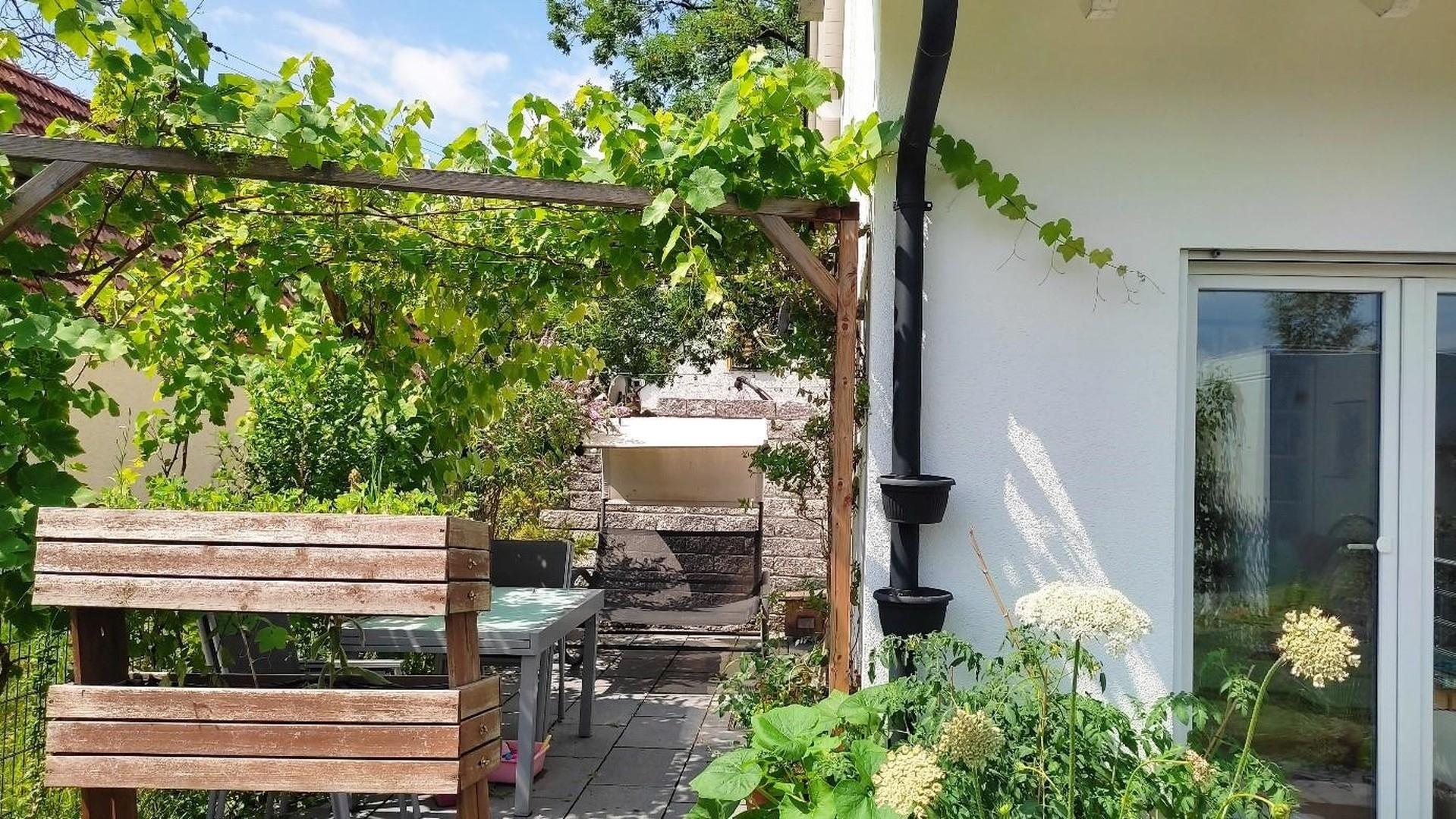 Terrasse mit Weinlaube