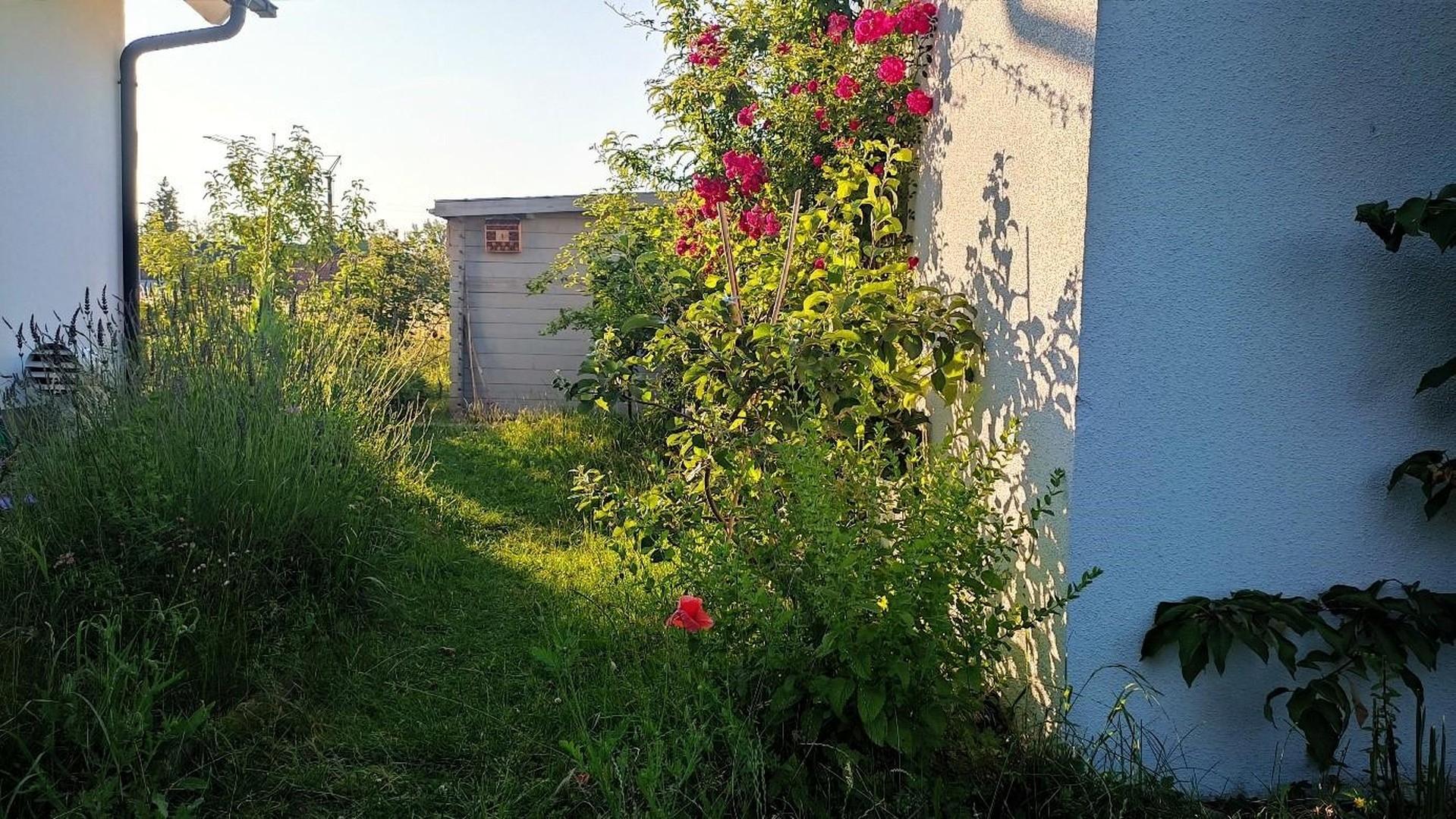 Eindruck Garten