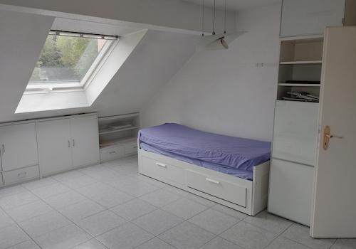 Wohnzimmer / Schlafzimmer