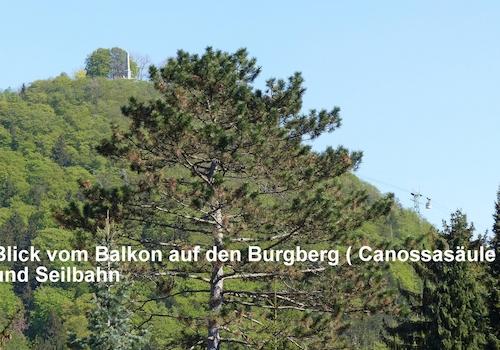 Blick z.Burgberg/ Canossasäule