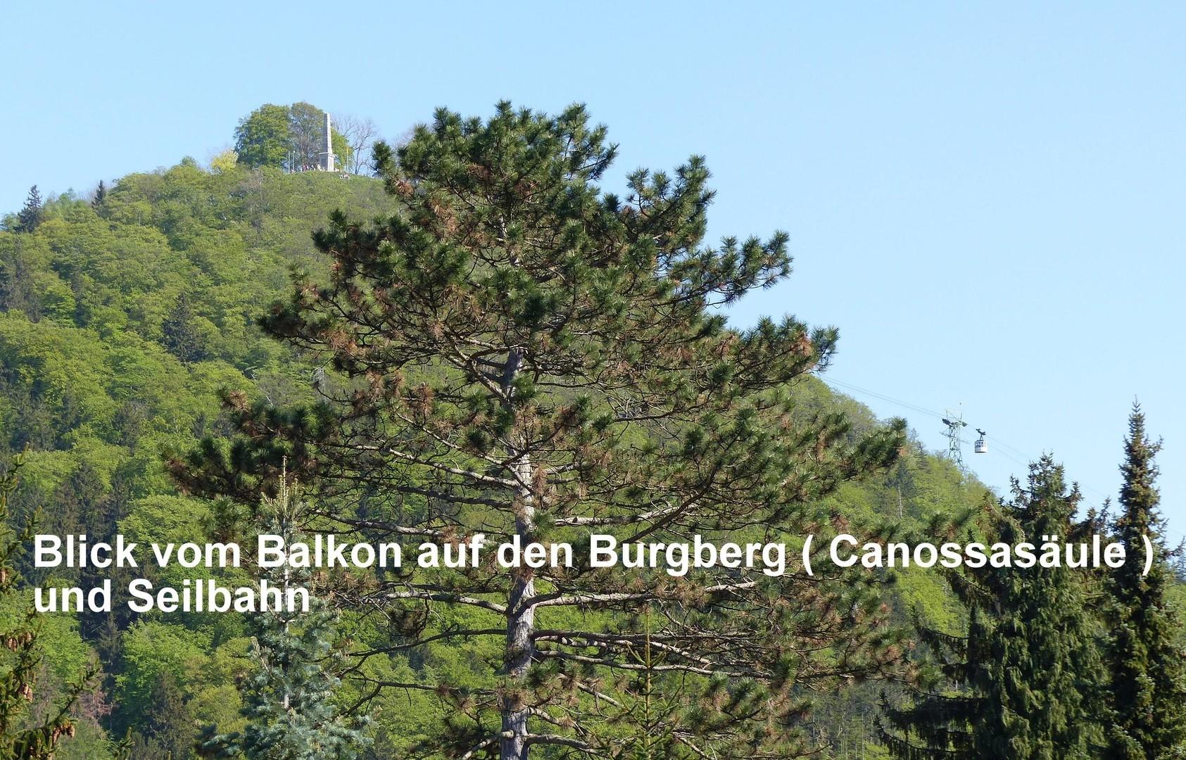 Blick z.Burgberg/ Canossasäule
