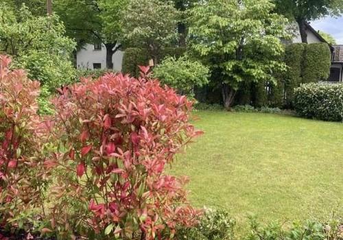 Blick in den Garten