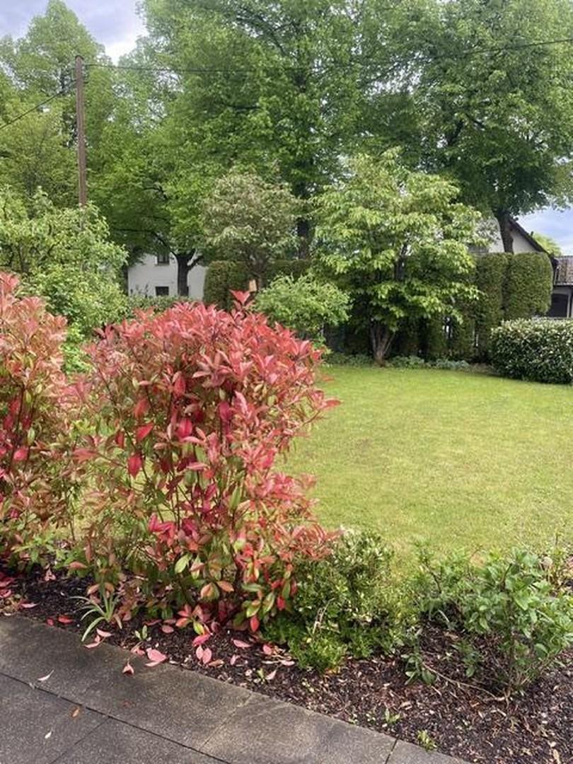 Blick in den Garten