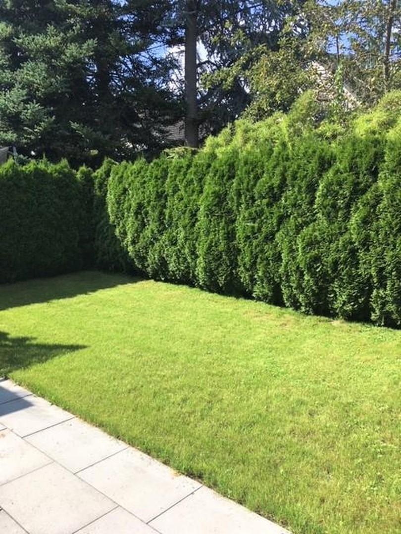 Hinterer Garten
