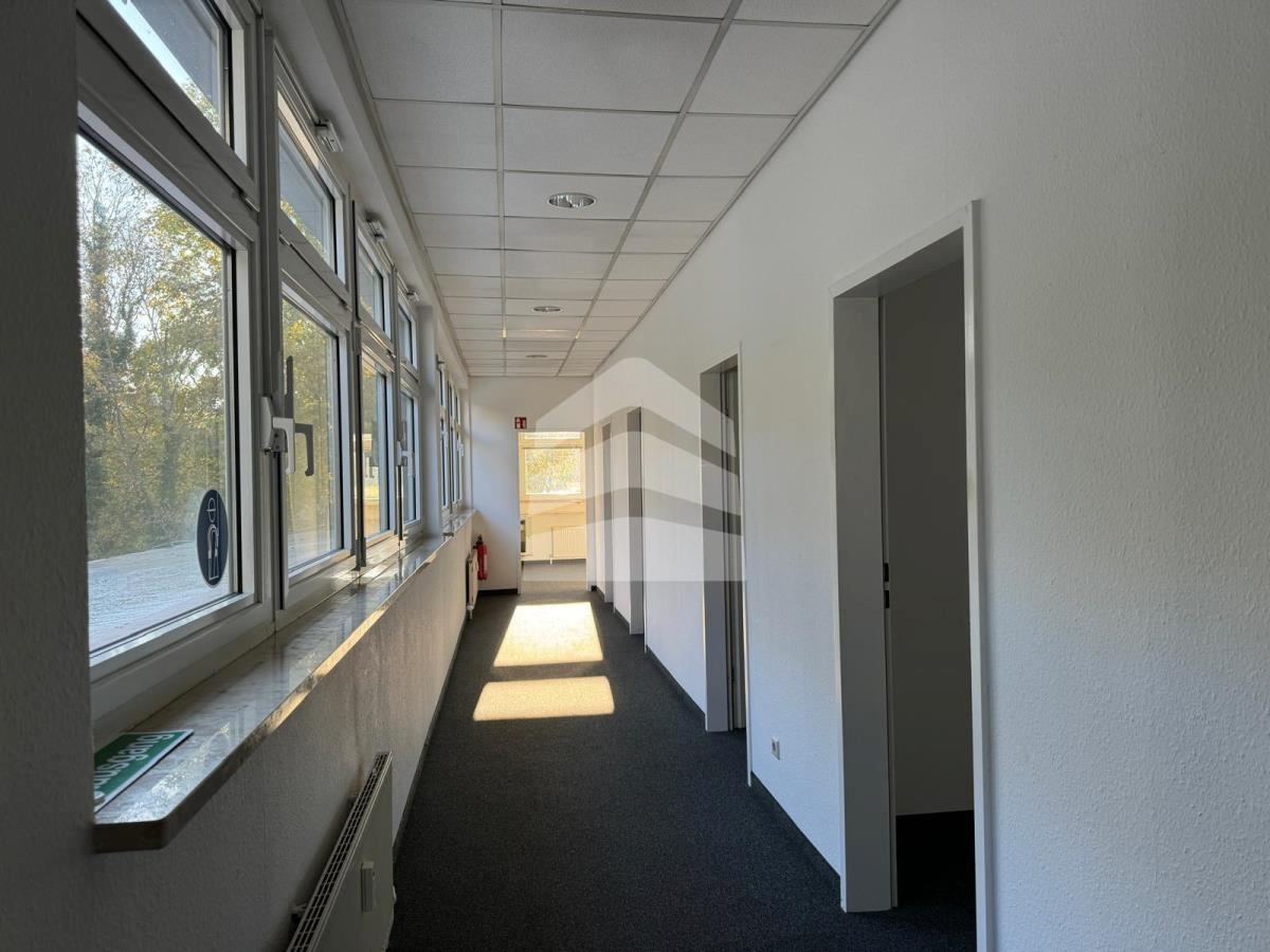 Objekt-Bild