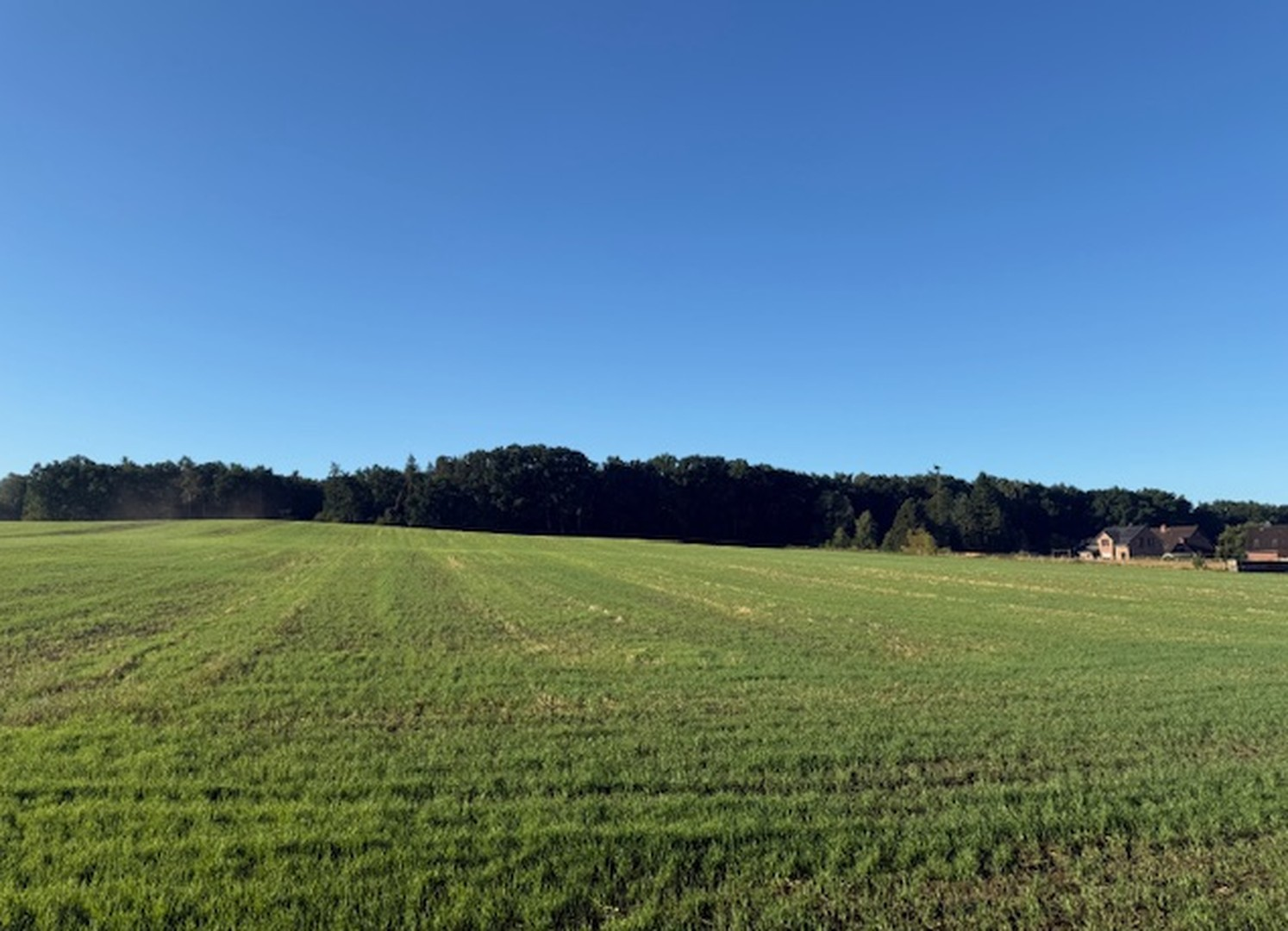Fläche Gillenmoor