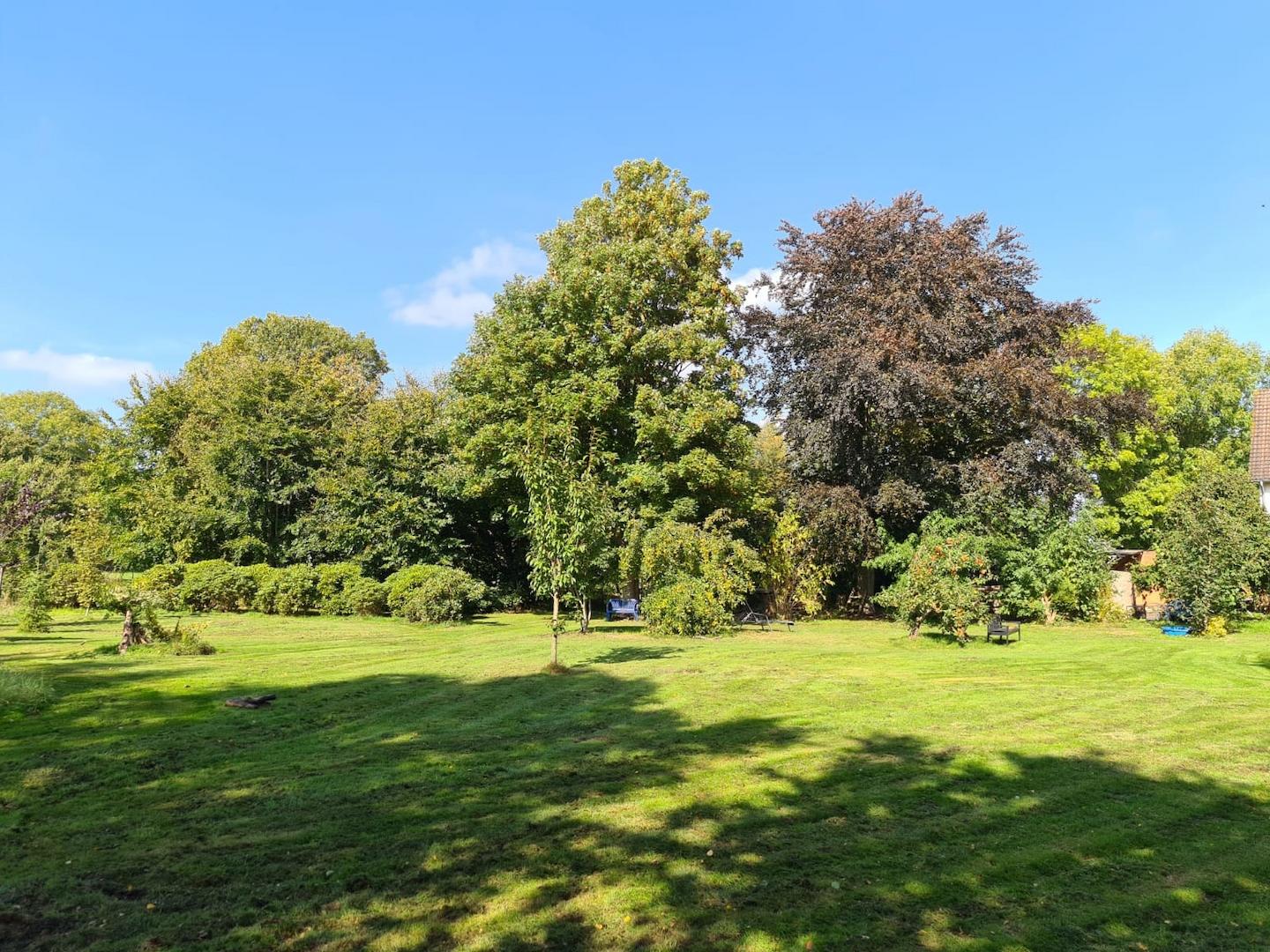 Blick in den Garten