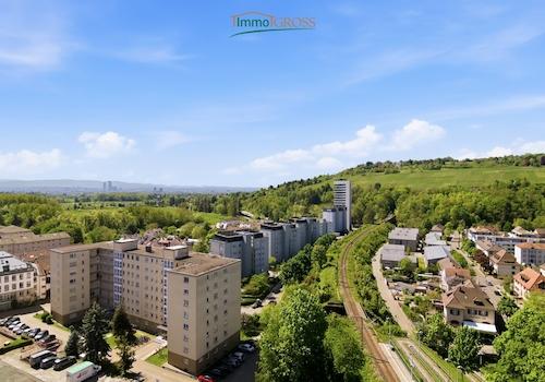 Blick auf Basel und den Tüllinger