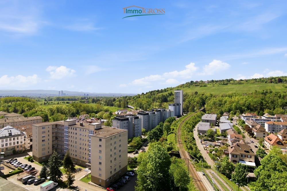 Blick auf Basel und den Tüllinger