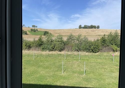 Ausblick