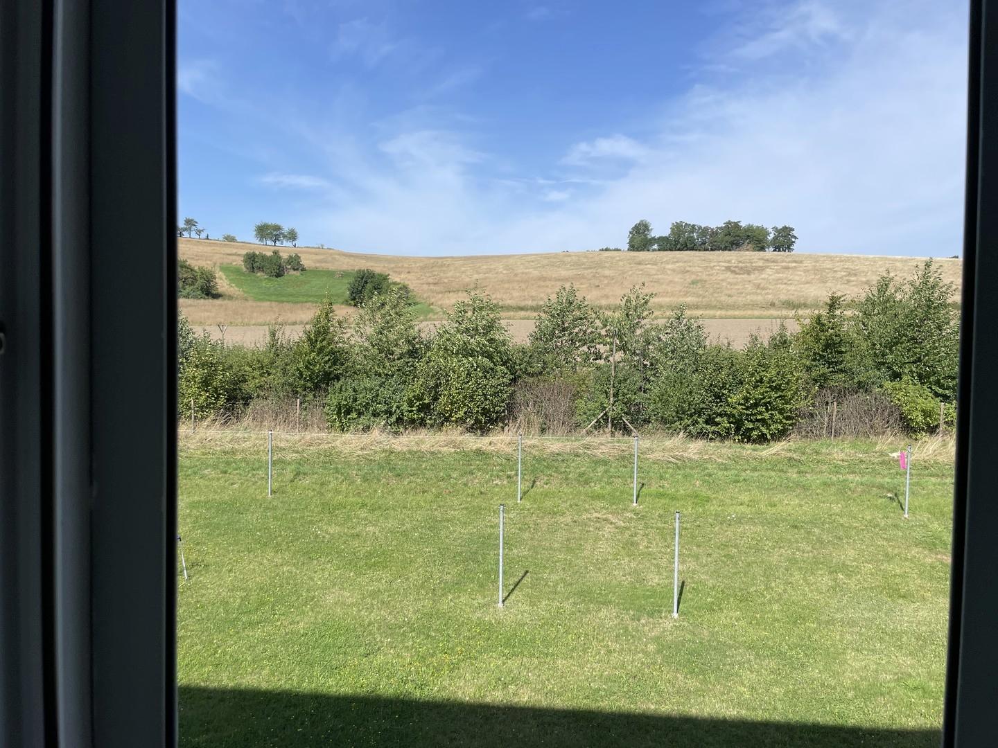 Ausblick