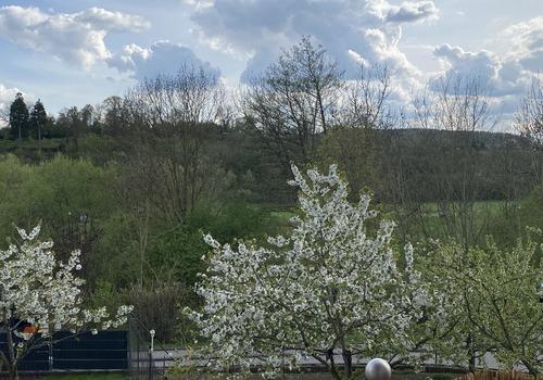 Aussicht