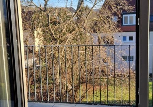 Blick aus Wohnung auf Terasse 