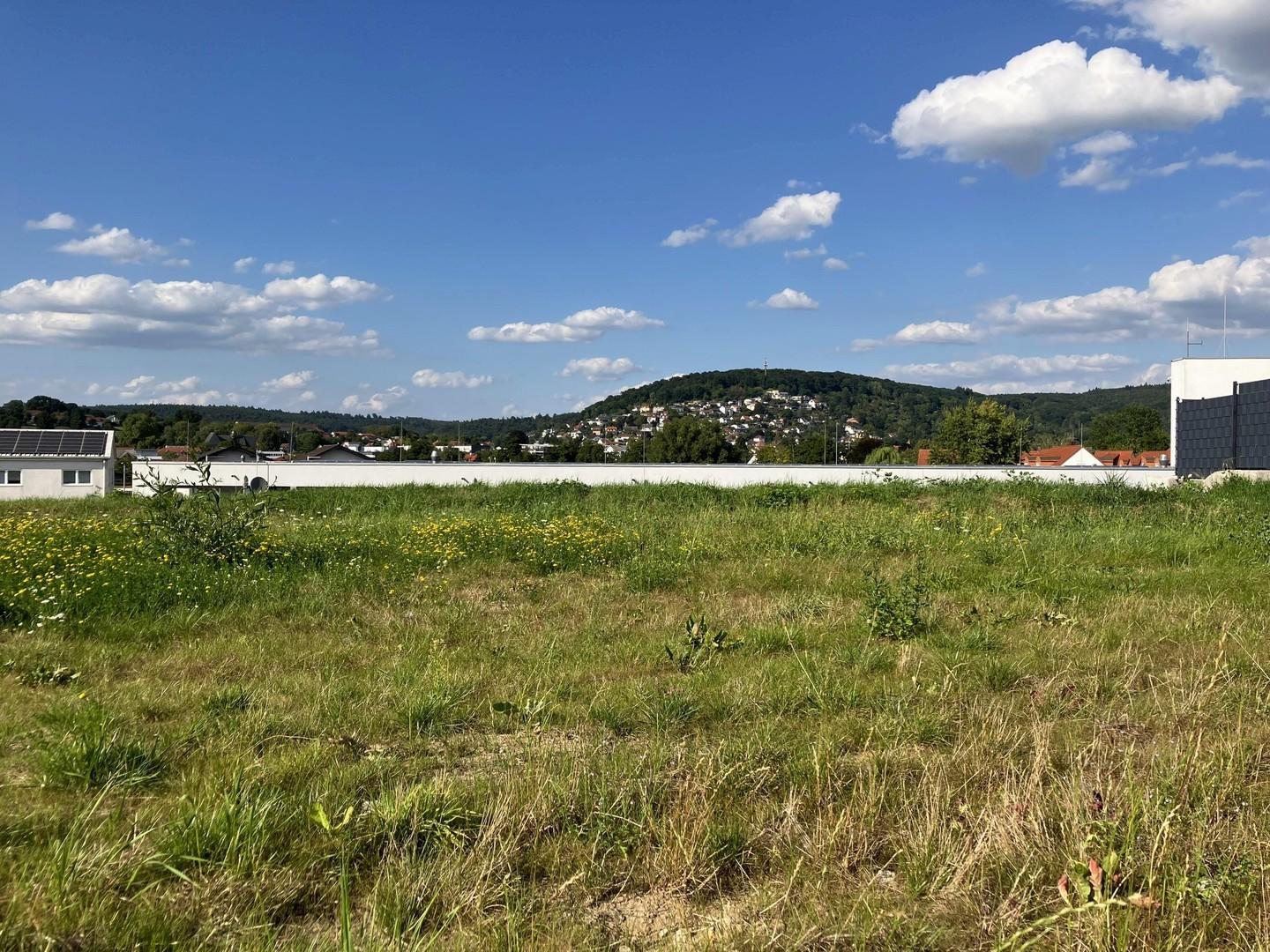Grundstück