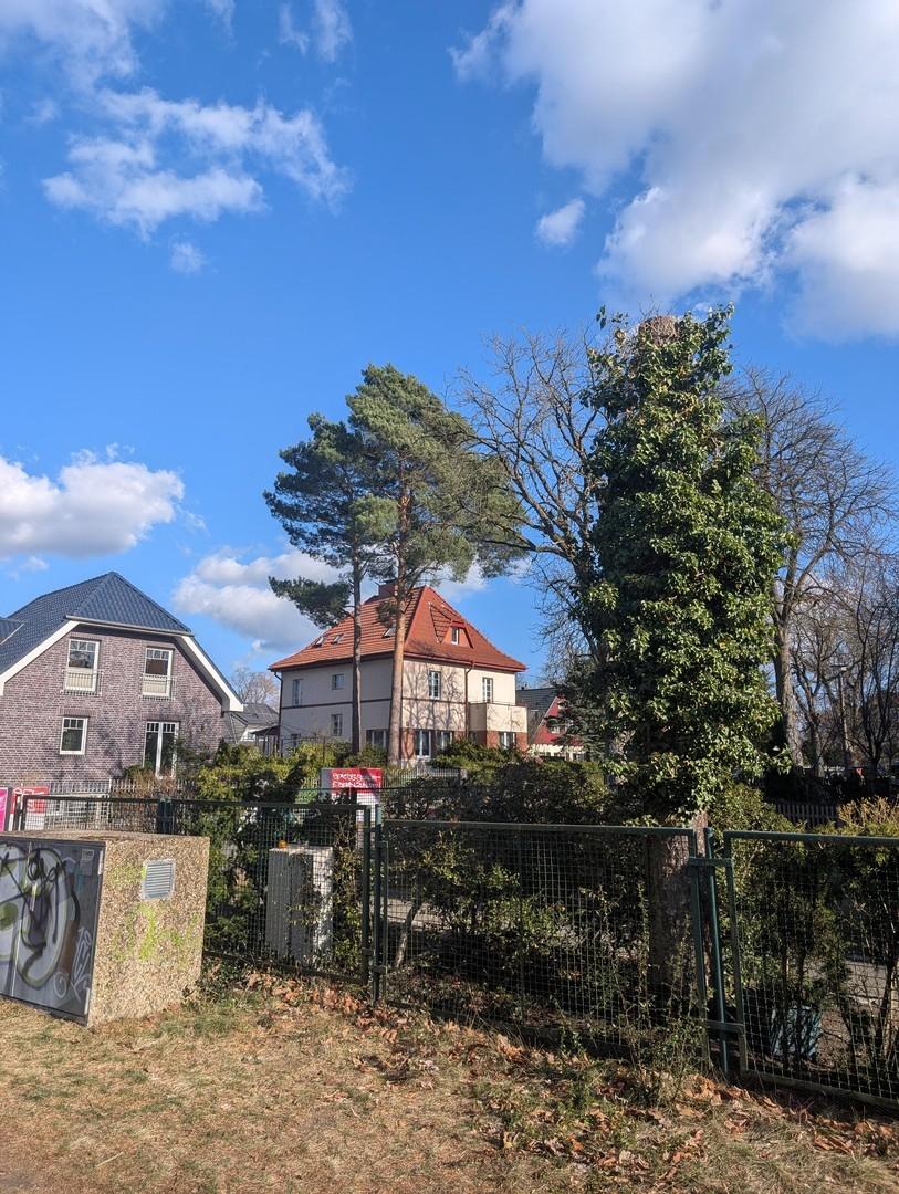 Blick zum Haus v. Spreezugang