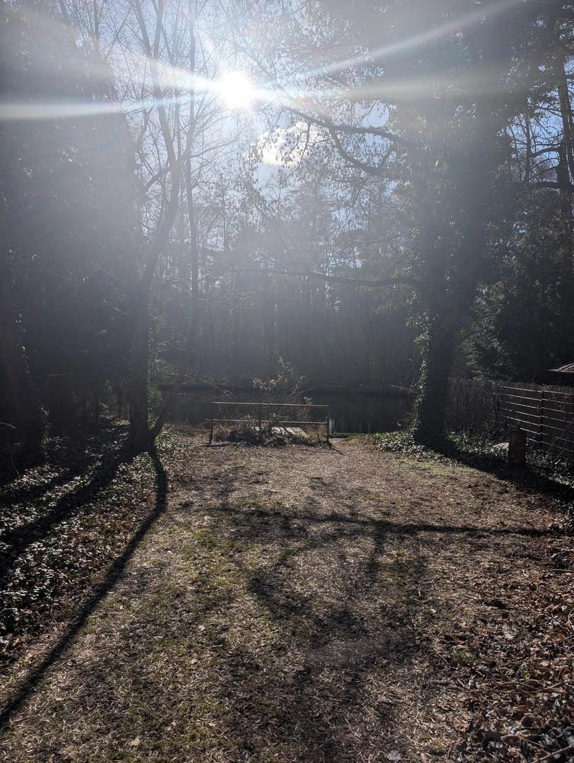Öffentlicher Spreezugang
