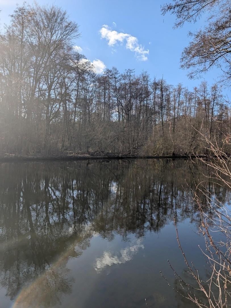 Spreeblick