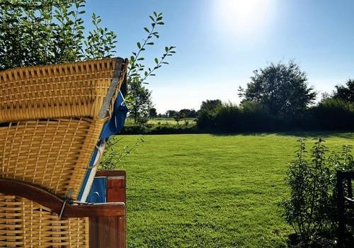 Blick in den Garten