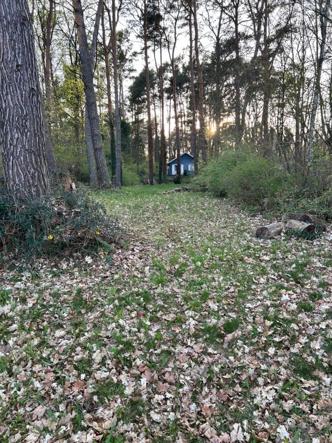 Bild...