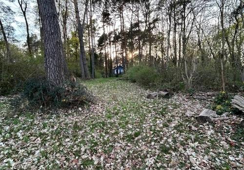 Bild...