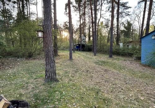 Bild...
