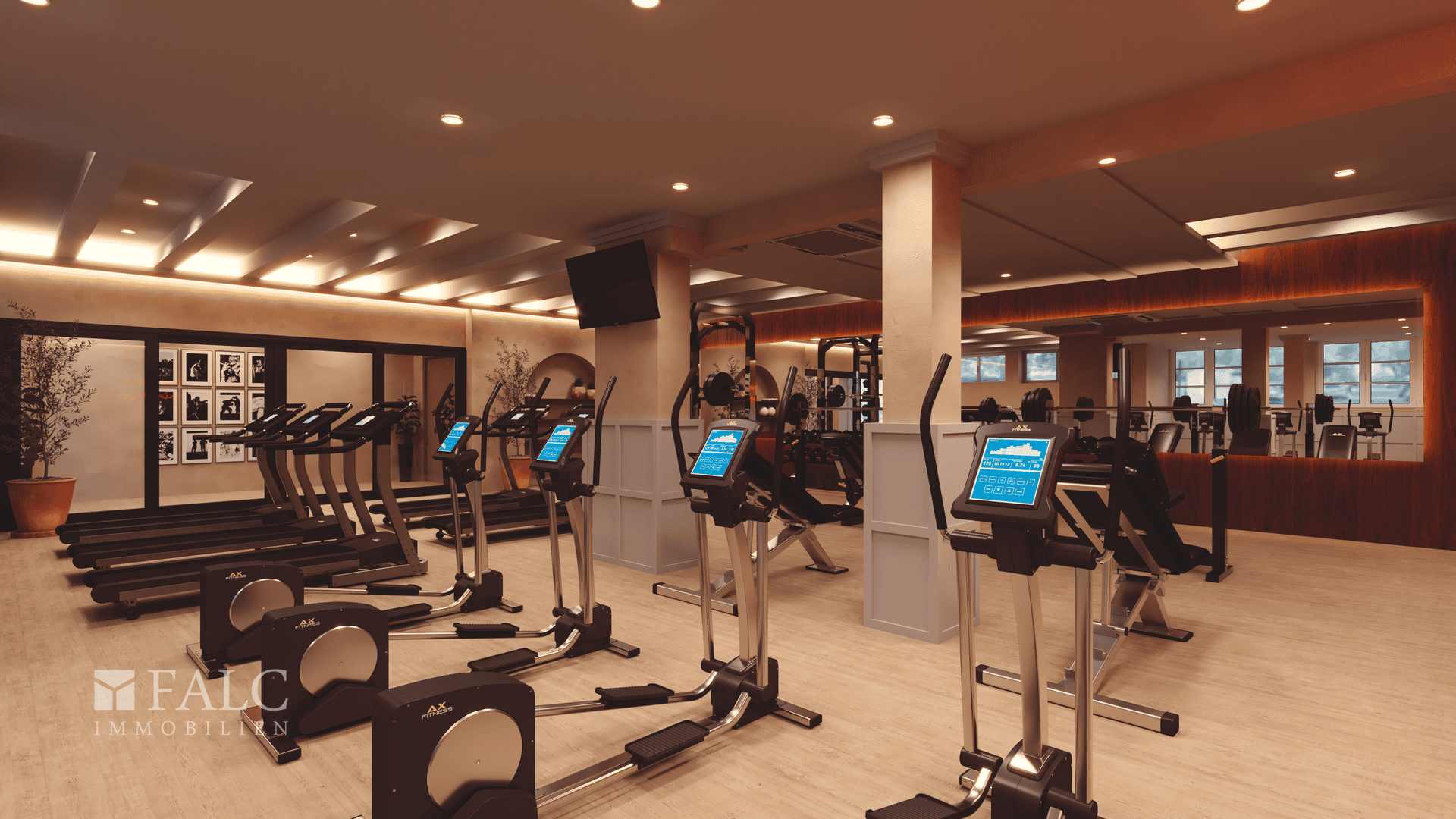 Cecilia-Gym