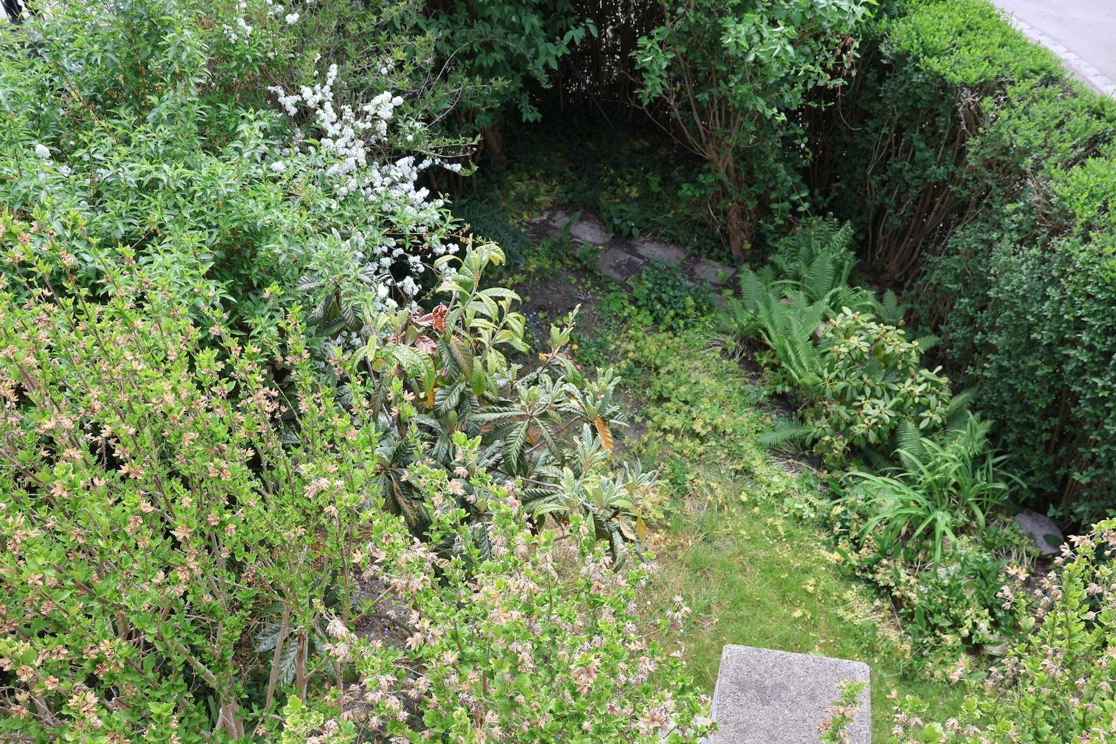 Blick in den Garten